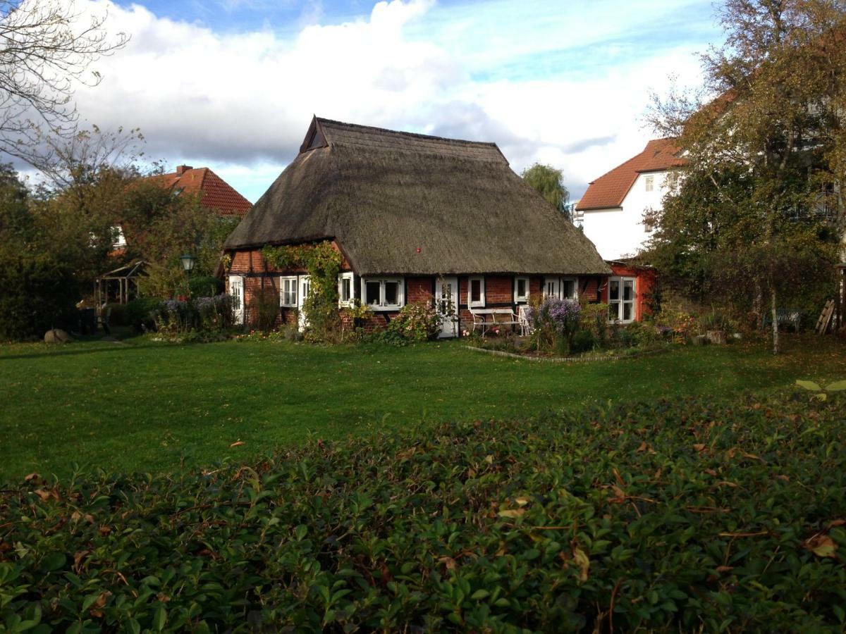 Fewo Am Alten Hafen - Zingst Ostseebad Exterior foto